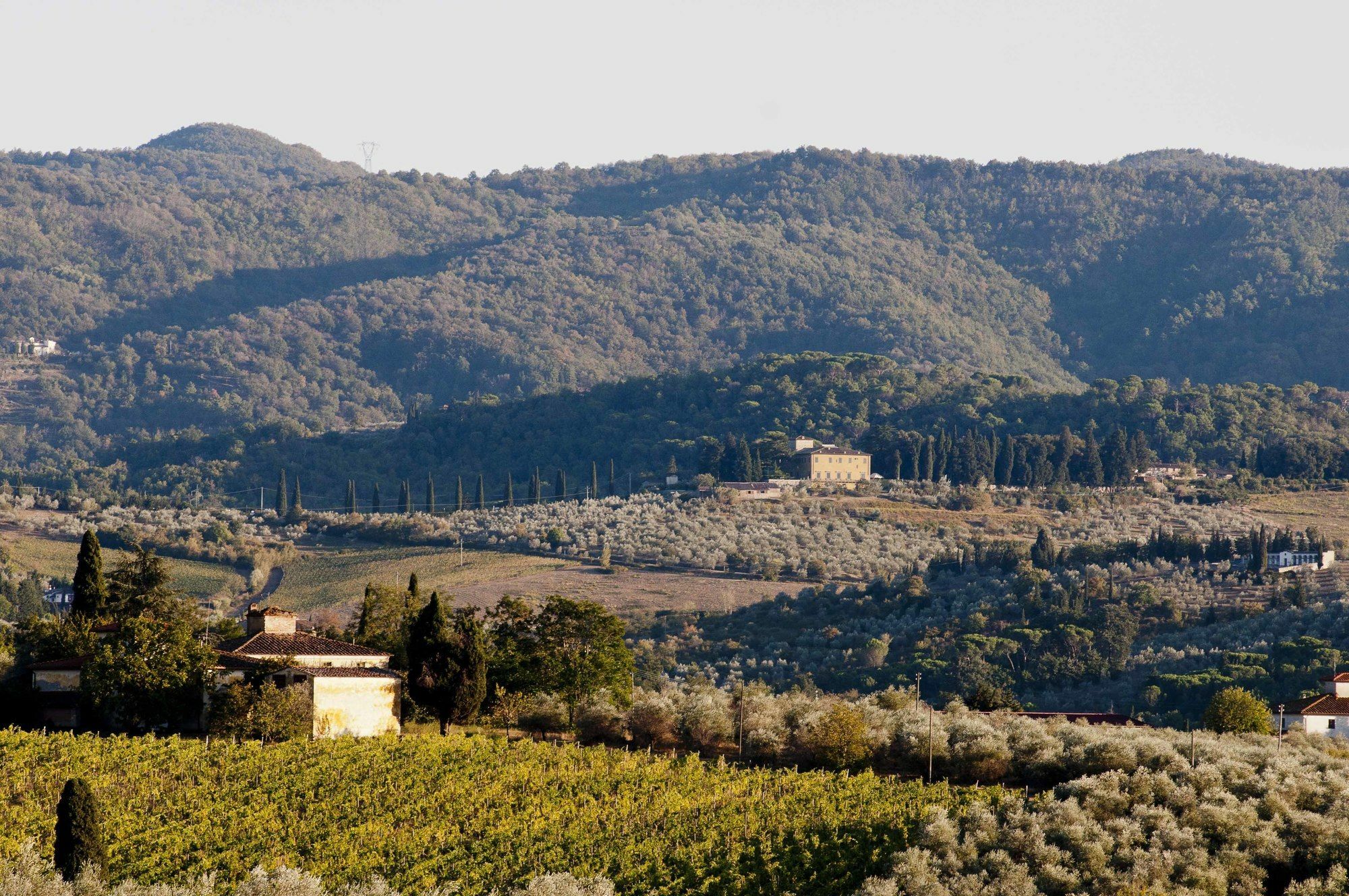 Villa Medicea Di Lilliano Grassina Dış mekan fotoğraf